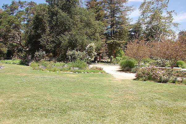 DSC 0170