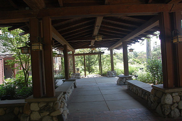 DSC 0154