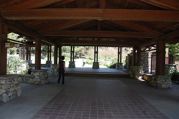 DSC 0149