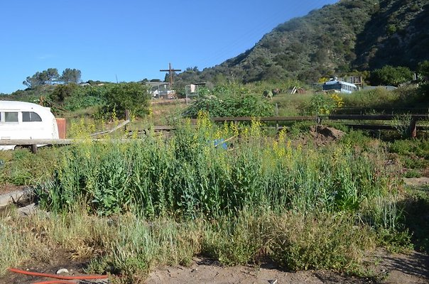 DSC 0003 (800x530)