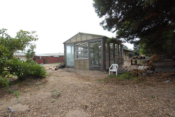 DSC 1346
