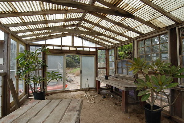 Greenhouse.MarianneR.Sunset Locs