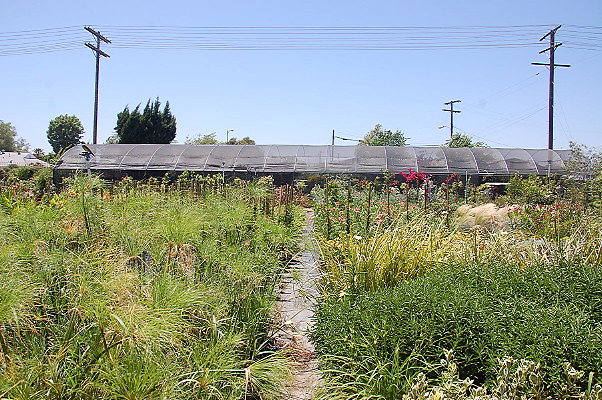 DSC 0313