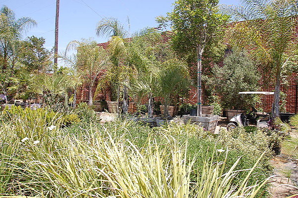 DSC 0319