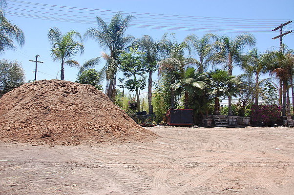 DSC 0322