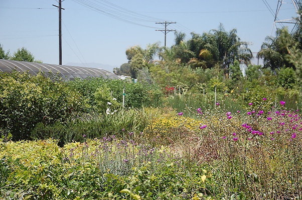 DSC 0298