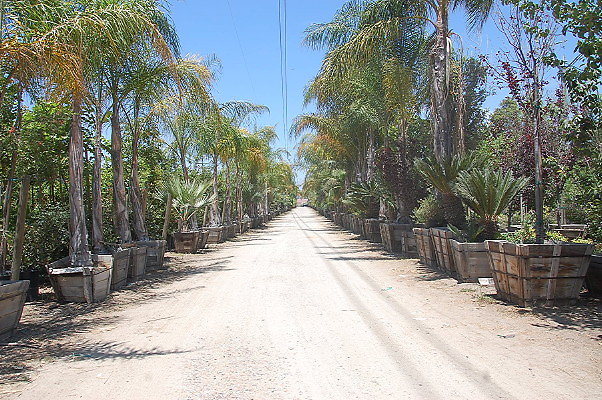DSC 0327