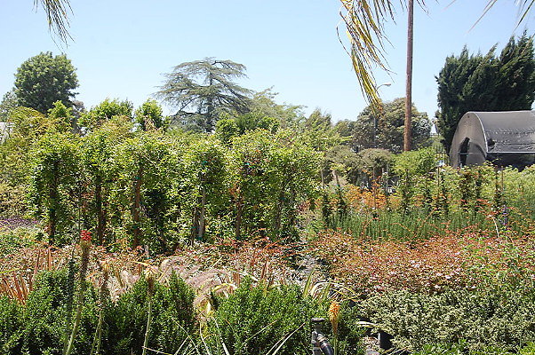 DSC 0303