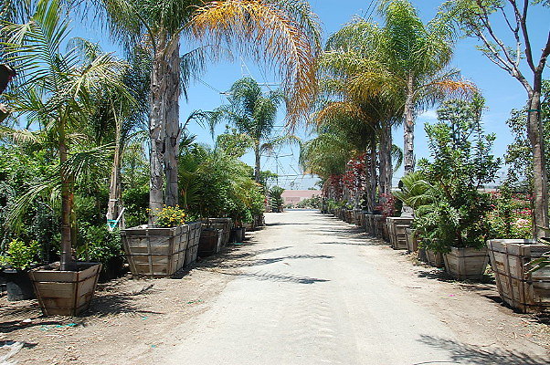 DSC 0332
