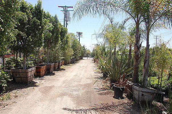 DSC 0310
