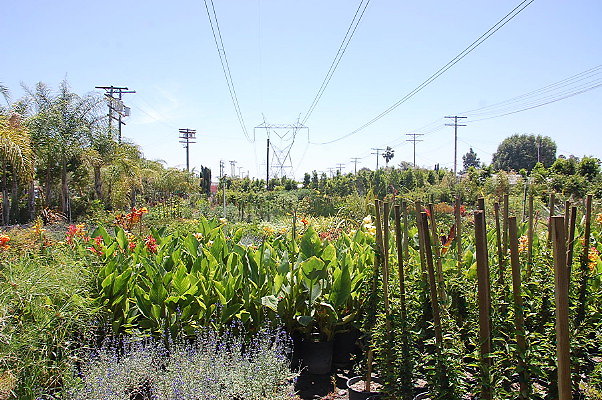 DSC 0315