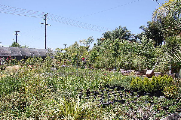 DSC 0320