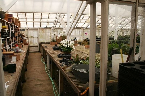 Greenhouse.4630.Malibu Locations.Zuma Orchids15