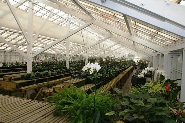 Greenhouse.4630.Malibu Locations.Zuma Orchids