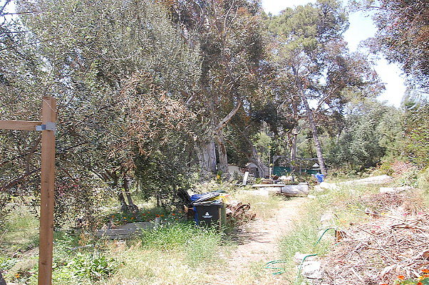 DSC 0429