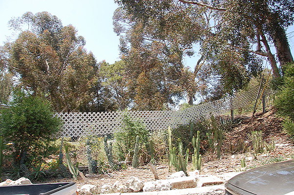 DSC 0441