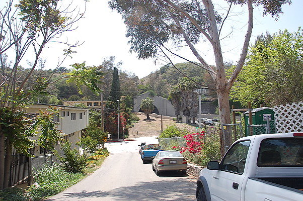 DSC 0439