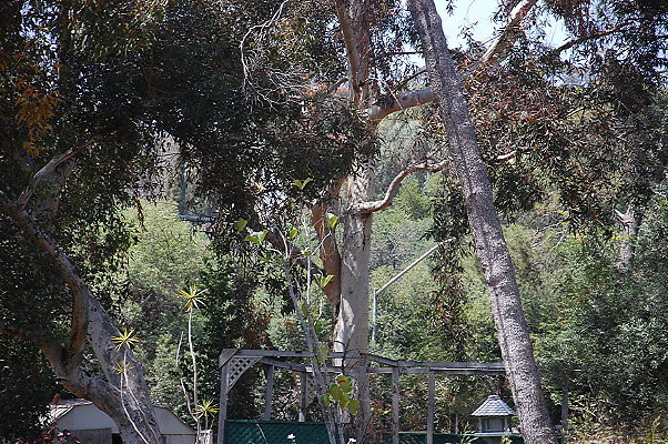 DSC 0434