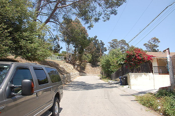 DSC 0444
