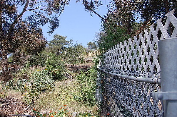 DSC 0432