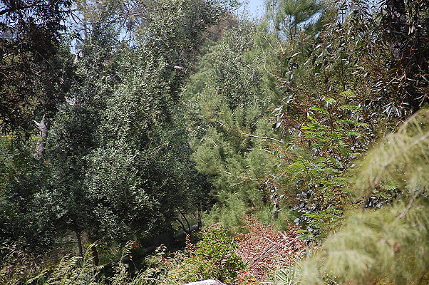 DSC 0435