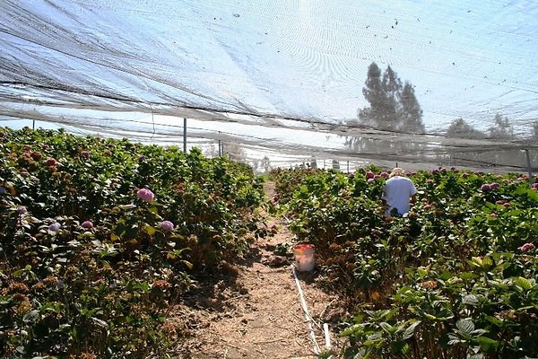 Nursery.8516.Malibu Locations03