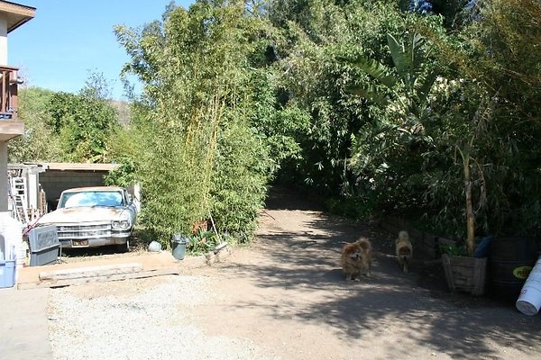 Nursery.8516.Malibu Locations20