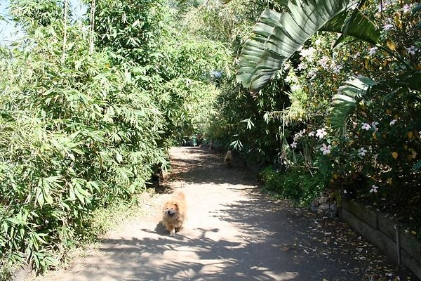 Nursery.8516.Malibu Locations19