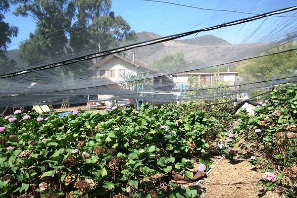Nursery.8516.Malibu Locations05