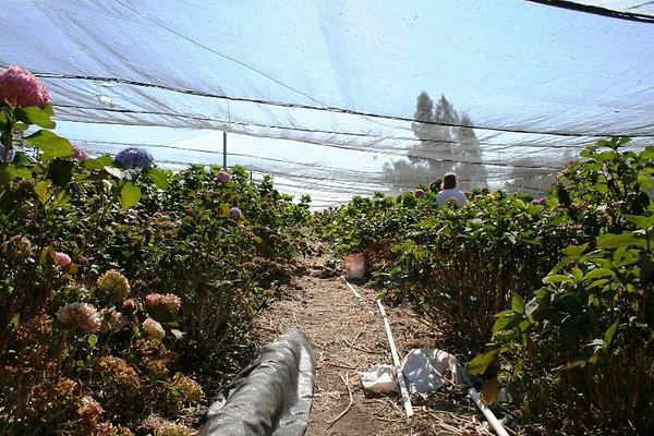 Nursery.8516.Malibu Locations25