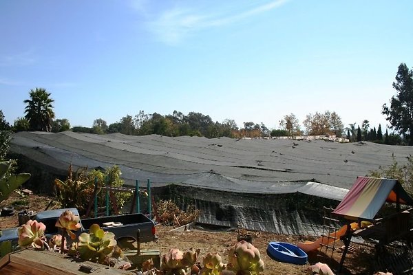 Nursery.8516.Malibu Locations12