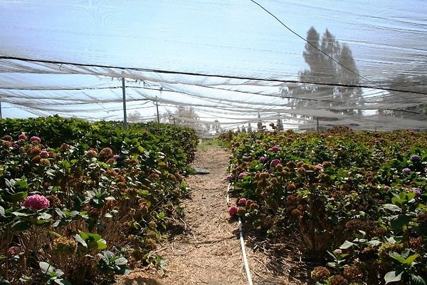 Nursery.8516.Malibu Locations07