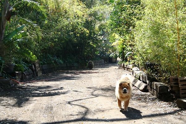 Nursery.8516.Malibu Locations16