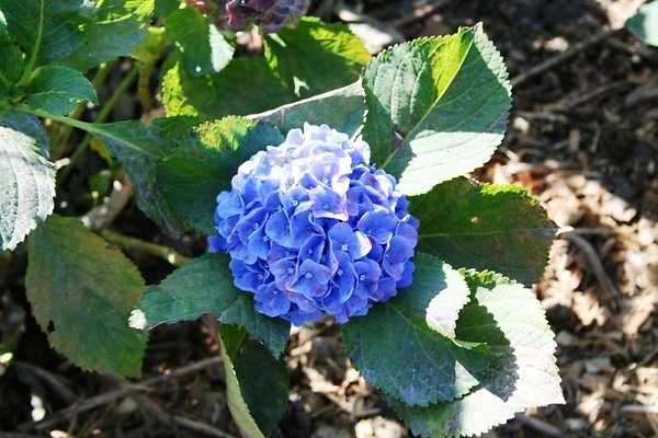 Nursery.8516.Malibu Locations10