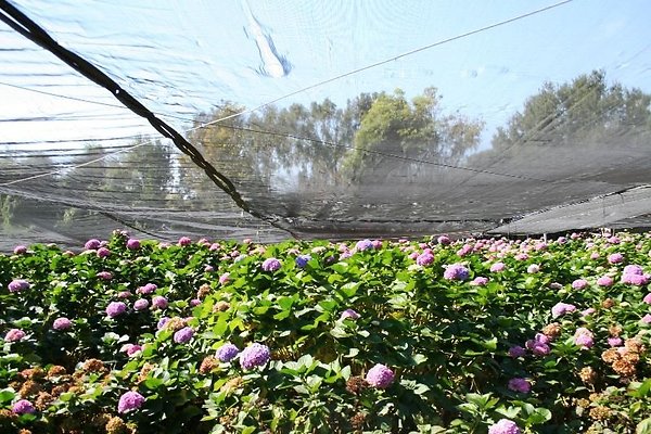 Nursery.8516.Malibu Locations01
