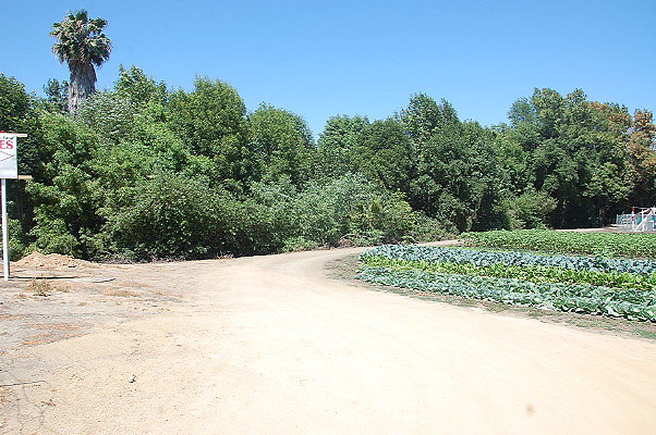 DSC 0532