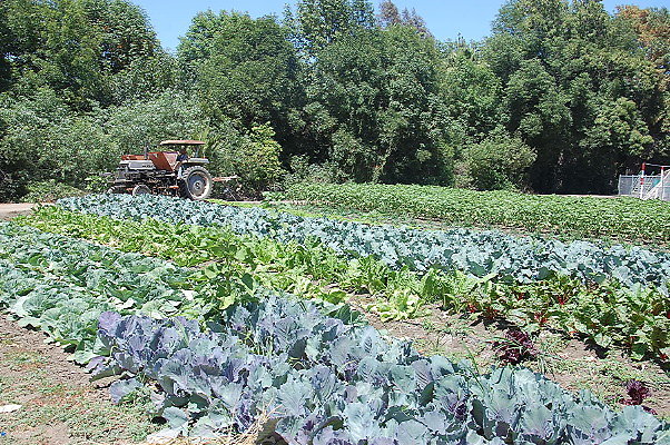 DSC 0544
