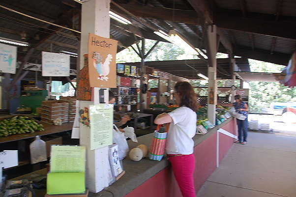 DSC 0499