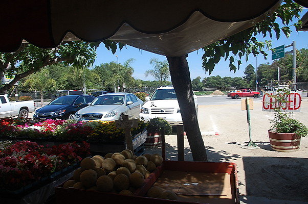 DSC 0501