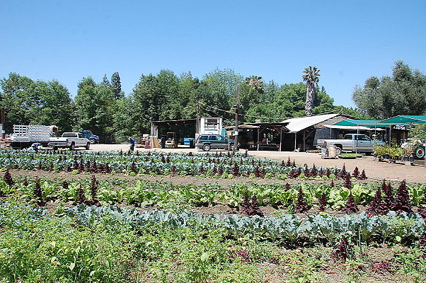 DSC 0515