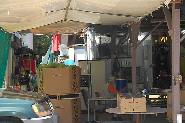 DSC 0520