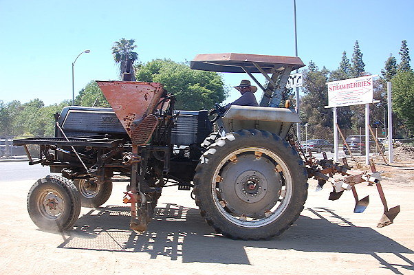 DSC 0547