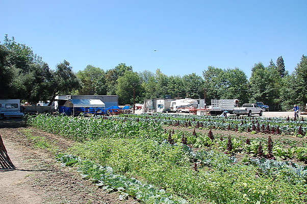 DSC 0514