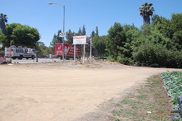 DSC 0550