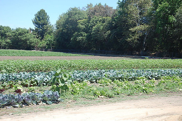 DSC 0537