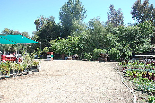 DSC 0525
