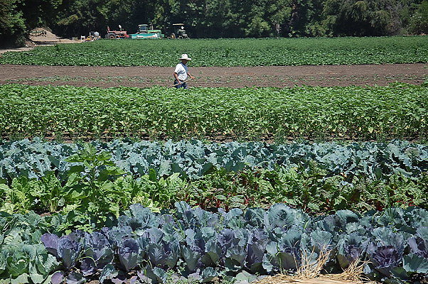 DSC 0540