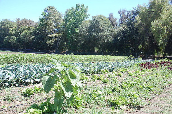 DSC 0546