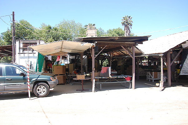 DSC 0519