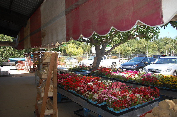 DSC 0500